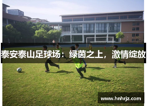 泰安泰山足球场：绿茵之上，激情绽放